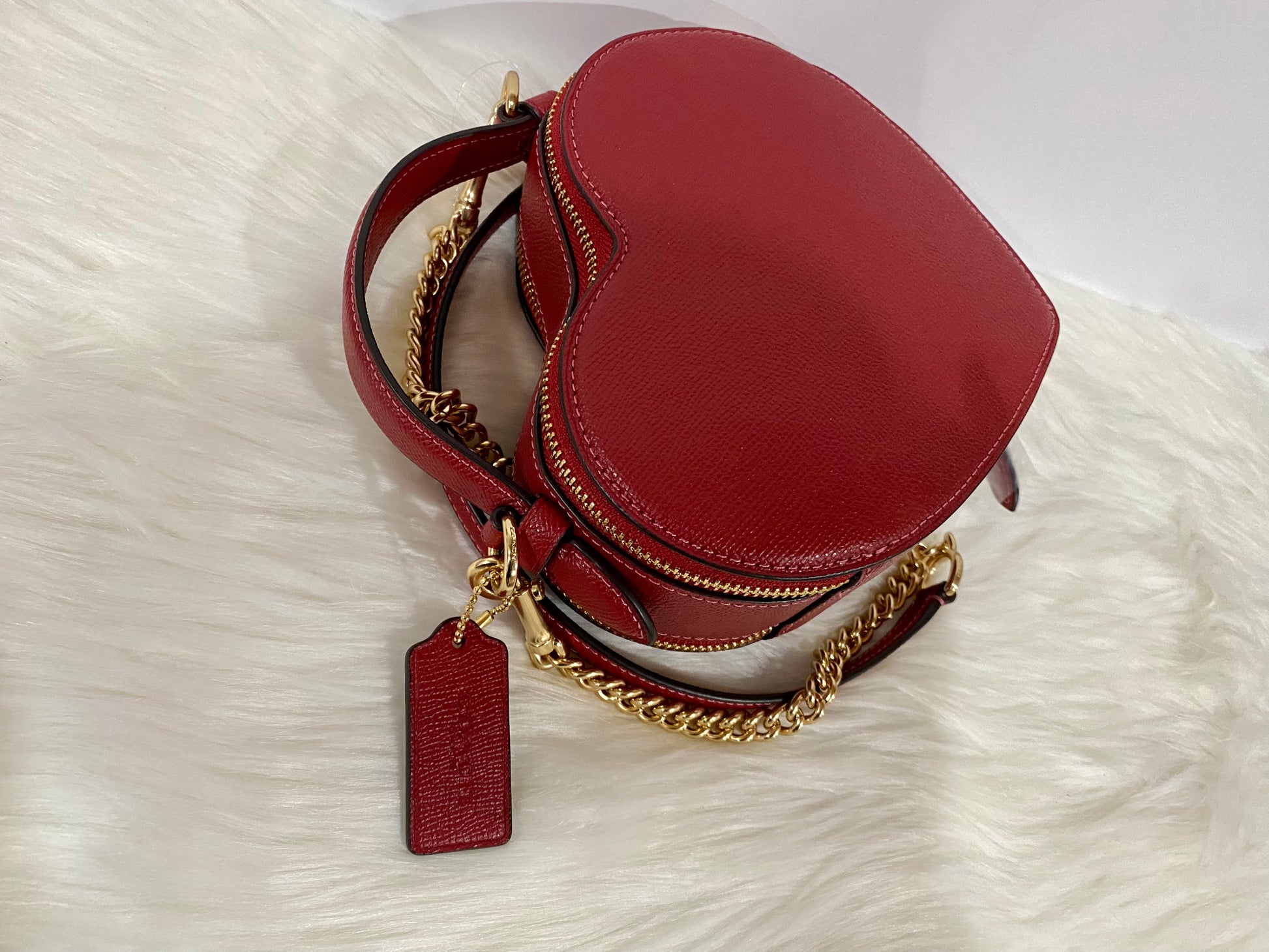 COACH Heart Zip Leather Chain Crossbody Bag in Red